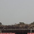 12_30-mast.jpg