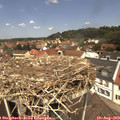 12_30-nest.jpg