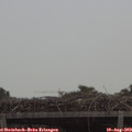 12_35-mast.jpg