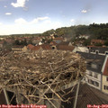 12_35-nest.jpg
