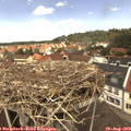 12_40-nest.jpg