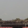 12_45-mast.jpg
