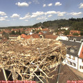 12_45-nest.jpg