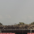 12_50-mast.jpg