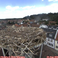 12_55-nest.jpg