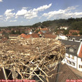 13_05-nest.jpg