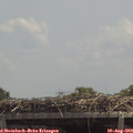13_10-mast.jpg