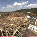13_10-nest.jpg