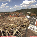 13_15-nest.jpg