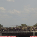 13_20-mast.jpg