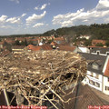 13_20-nest.jpg