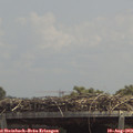 13_25-mast.jpg