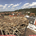 13_25-nest.jpg