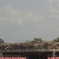 13_30-mast.jpg