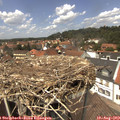 13_30-nest.jpg