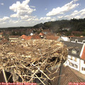 13_35-nest.jpg