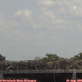 13_40-mast.jpg