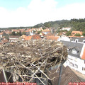 13_40-nest.jpg