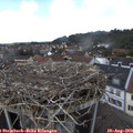 13_45-nest.jpg