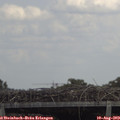 13_50-mast.jpg