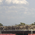 13_55-mast.jpg