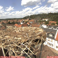 13_55-nest.jpg