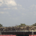 14_00-mast.jpg