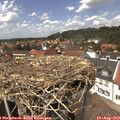 14_00-nest.jpg