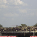 14_05-mast.jpg