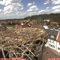 14_05-nest.jpg