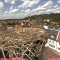 14_10-nest.jpg
