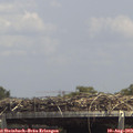 14_15-mast.jpg