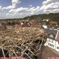 14_15-nest.jpg