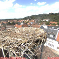 14_20-nest.jpg