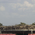 14_25-mast.jpg