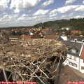14_25-nest.jpg