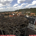 14_30-nest.jpg