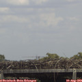 14_35-mast.jpg