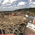 14_35-nest.jpg