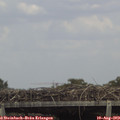14_40-mast.jpg