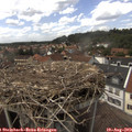 14_40-nest.jpg
