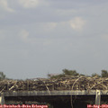 14_45-mast.jpg