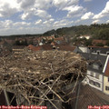 14_45-nest.jpg