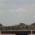 14_50-mast.jpg