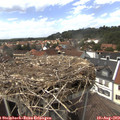 14_55-nest.jpg