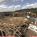 15_00-nest.jpg