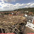 15_05-nest.jpg
