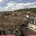 15_10-nest.jpg