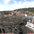 15_15-nest.jpg