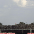 15_20-mast.jpg